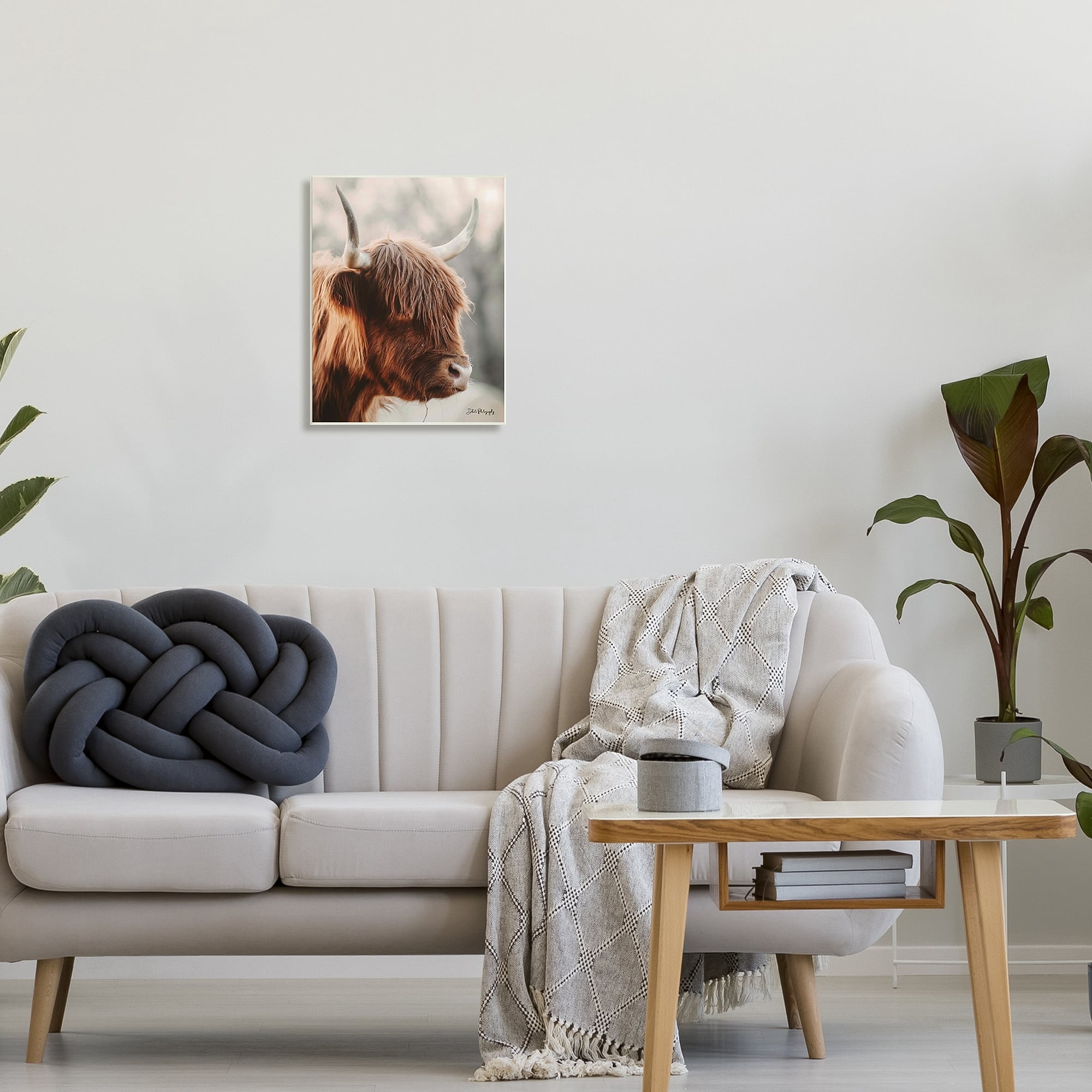 Stupell Industries Calm Highland Cow Cattle Portrait Horns Photography Photograph Unframed Art Print Wall Art, Design by Dakota Diener