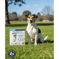 Provecta Advanced Flea Tick Medium Dogs 11–20 lbs 4-Month Topical Application