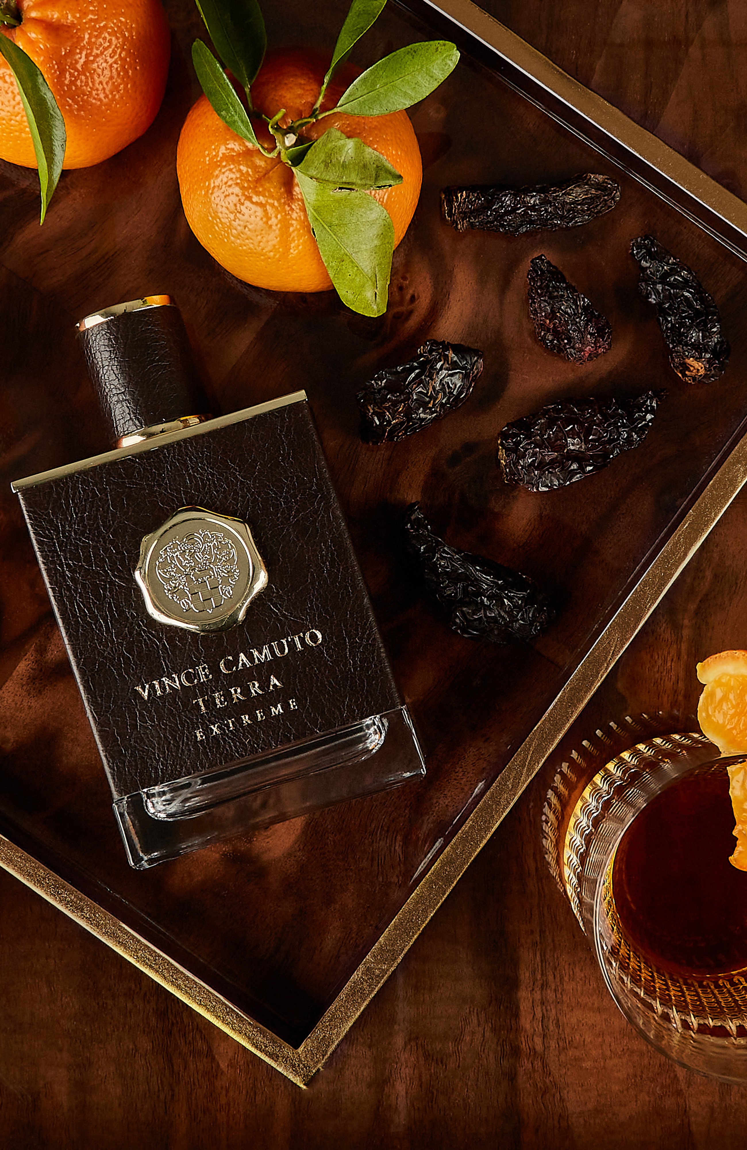 Vince Camuto Terra Extreme 2-Piece Cologne Gift Set photo 4