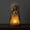 Color A, variant on Vintage Pumpkin Light Halloween Decor, Cute Resin Halloween Decorations with Witch Hat, Spooky Table Ambient Lamp for Mantel Shelf Home Party, 7.8-Inch