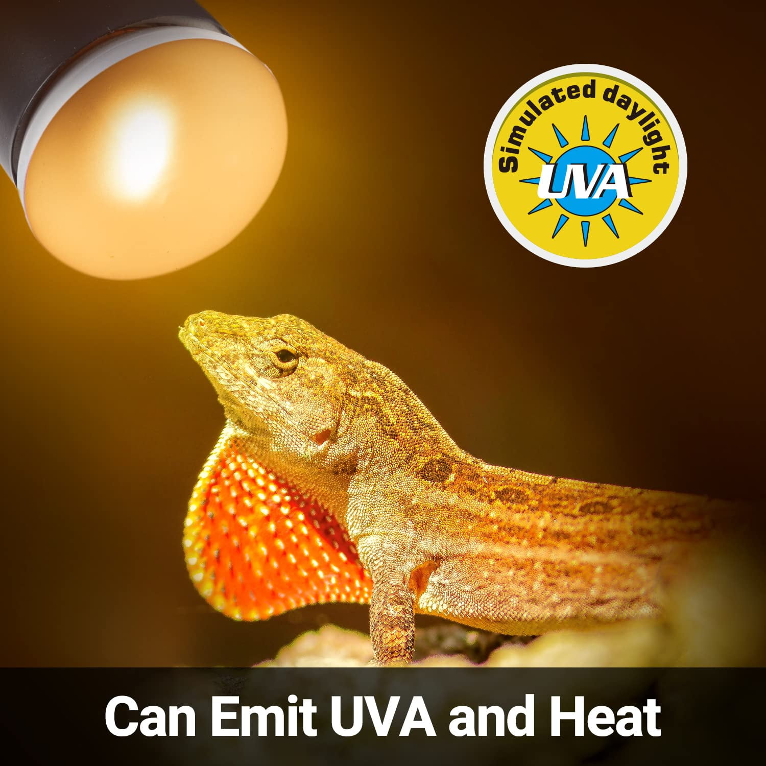 ECOSUB Reptile Heating Lamps 25W Mini UVA Upgraded Nano Daylight Bulbs 2 Pcs Walmart