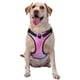 thumbnail image 1 of Fotbe Fun Rainbow Pink Arnés para Perro con Estampado –Chaleco Ajustable Acolchado con Asa de Control para Perros Grandes-Small, 1 of 6