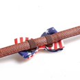 thumbnail image 4 of American Flag Dog Collar And Leash Set - Snngv, 4 of 4