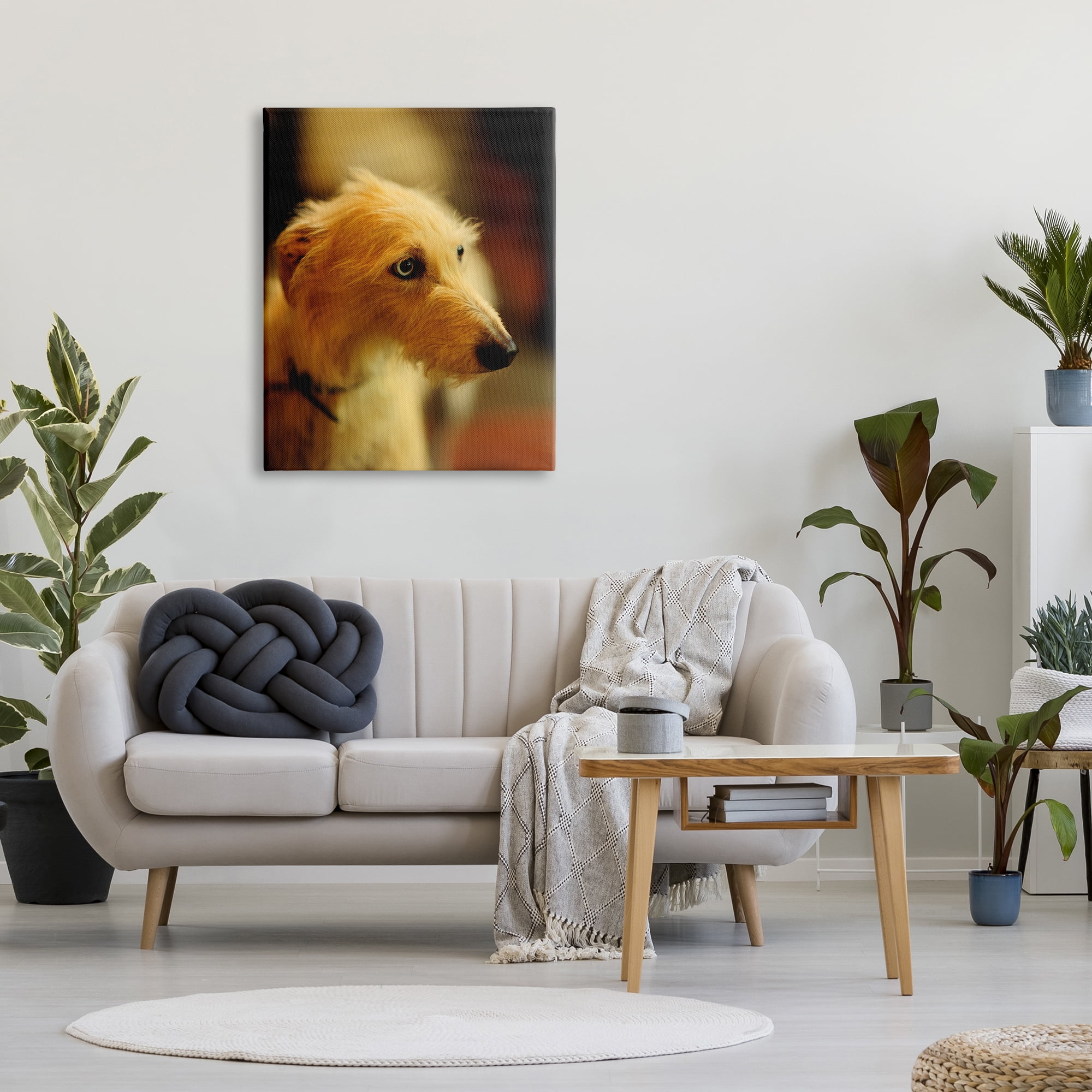 Stupell Industries Long Hair Terrier Dog Portrait Warm Lighting Photography Photograph Gallery Wrapped Canvas Print Wall Art, Design by James Dobson