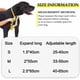 thumbnail image 4 of Collar para perros, adecuado para perros pequeños y medianos, collar para perros suave ajustable con, 4 of 5