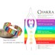 thumbnail image 2 of Pulsera Plumiss Leather Imperial Jasper de 7 chakras para mujer, 2 of 2