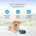 thumbnail image 3 of Adult - LP - Chicken - Dry Dog Food, 3 of 5