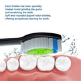 thumbnail image 3 of 10Pcs Replacement Toothbrush Heads for HX6064 HX6930 HX3 B, 3 of 5