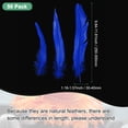 thumbnail image 3 of Uxcell 50-Pack Feathers for Crafting, Sapphire Blue 9.84-11.81 Inch Natural Fluffy Feathers Plume for Wedding Decorations Feathers, 3 of 6