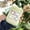 Green, variant on A Cute Cartoon-style Charging Accessory Pouch, Headphone and Data Cable Organizer, CCD Camera Bag, Portable Large-capacity USB Hard Drive Case