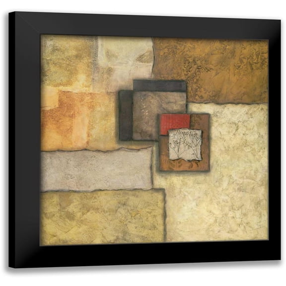 Olson, Norm 12x12 Black Modern Framed Museum Art Print Titled - Organic Fundamentals IV