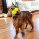 thumbnail image 2 of Juguete para Perros Outward Hound Verde Interactivo y Duradero, Grande, 2 of 8