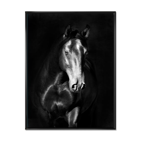 Designart 'Close Up Portrait Of Black Kladruby Horse' Farmhouse Framed Canvas Wall Art Print