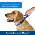 thumbnail image 2 of Collar Martingale PetSafe con hebilla de cierre rápido, azul, grande, 2 of 5
