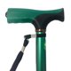 thumbnail image 2 of Baston Puño T Verde Eko Mobility EB030302, 2 of 3