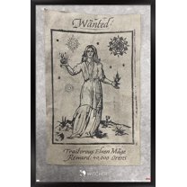 Netflix The Witcher Season 2 - Wanted Elven Mage Wall Poster, 14.725" x 22.375" Framed