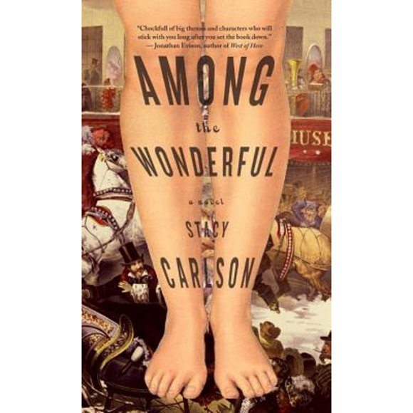 Pre-Owned Among the Wonderful (Paperback 9781586422011) by Stacy Carlson