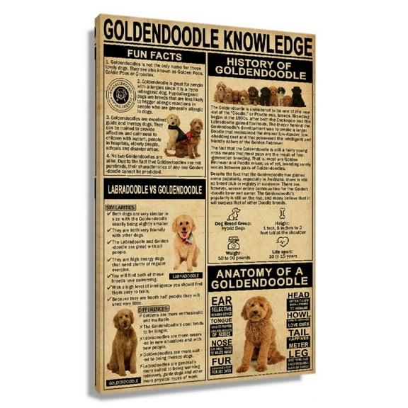 Vintage Golden Doodle Dog Knowledge Poster Animal Wall Art For Living Room Canvas Decor Unframed 12x18 in