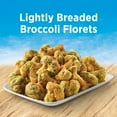 thumbnail image 2 of Birds Eye Crispy Broccoli Florets, Frozen Vegetables, 12 oz. Bag, 2 of 8