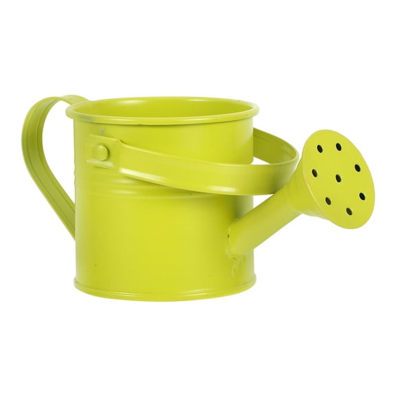 Masteelf Light Green Galvanized Iron Watering Can for Succulents and Small Spaces 4.5 x 3.2 Inches