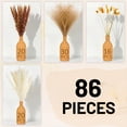 thumbnail image 4 of Sanmadrola 85 Pcs Natural Dried Pampas Grass Boho Home Decor Dried Flowers for Wedding Floral Arrangements Wall Bathroom Décor Spring Decor, 4 of 8