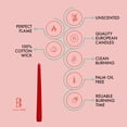 thumbnail image 2 of Bolsius Red Taper Candles, 10" European Quality Dripless Unscented Candles, 8 Hour Long Candle Sticks, 4-Pack, 2 of 9