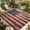 Red, White, Blue, Brown, variant on Indoor Outdoor Area Rugs,Sea Turtle Ocean Starfish Coral Washable Patio Rug Non-slip Quick Dry Camping Rugs,Vintage Map Blue Ocean World Floor Carpet for Porch Deck Backyard RV Decor,5x8ft