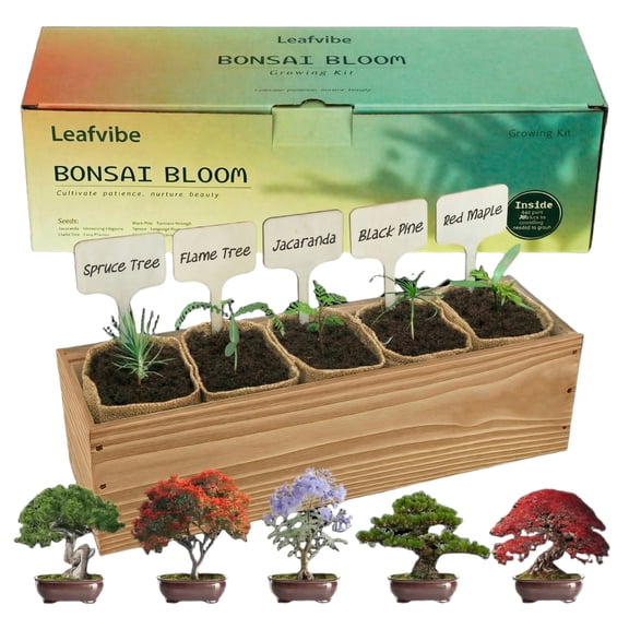 Leafvibe 5 Pack Bonsai Tree Kit with Complete Tools, 5X Unique Seeds Bonzai Tree Kits, Indoor Bonsai Starter Kit with Wooden Box, Perfect Christmas Garden Gift for Mom, Men, Women, Plant Lover