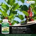thumbnail image 4 of Best Naturals Mulberry Leaf Extract, 500 Mg, 120 Count, 4 of 4