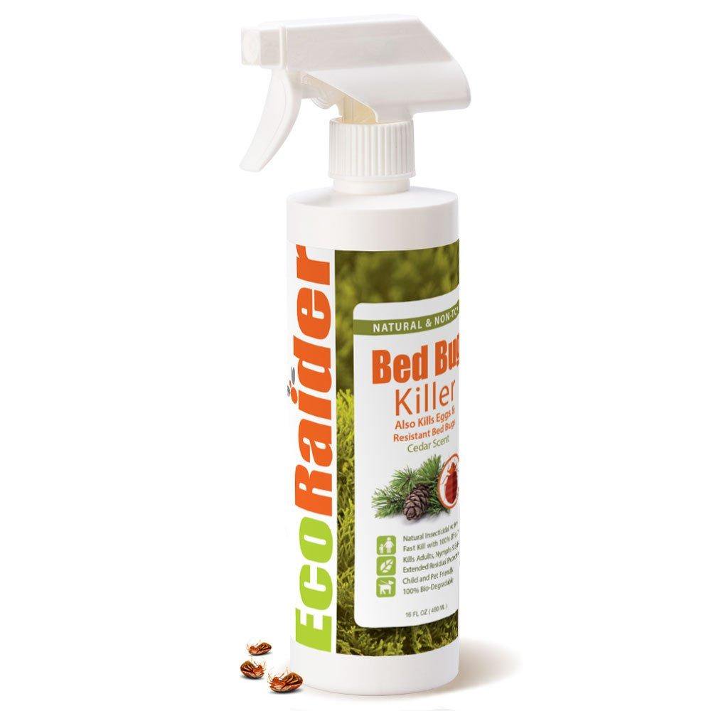 EcoRaider Bed Bug Killer Spray 16 Oz, Green + Nontoxic, 100 Kill + Extended Protection 16