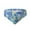 Blue, variant on Tbopshirt Men's Brief Underwear,Men's Funny Thong T Pants Stretch Low Waist String Seamless Underwear,Mens Gift