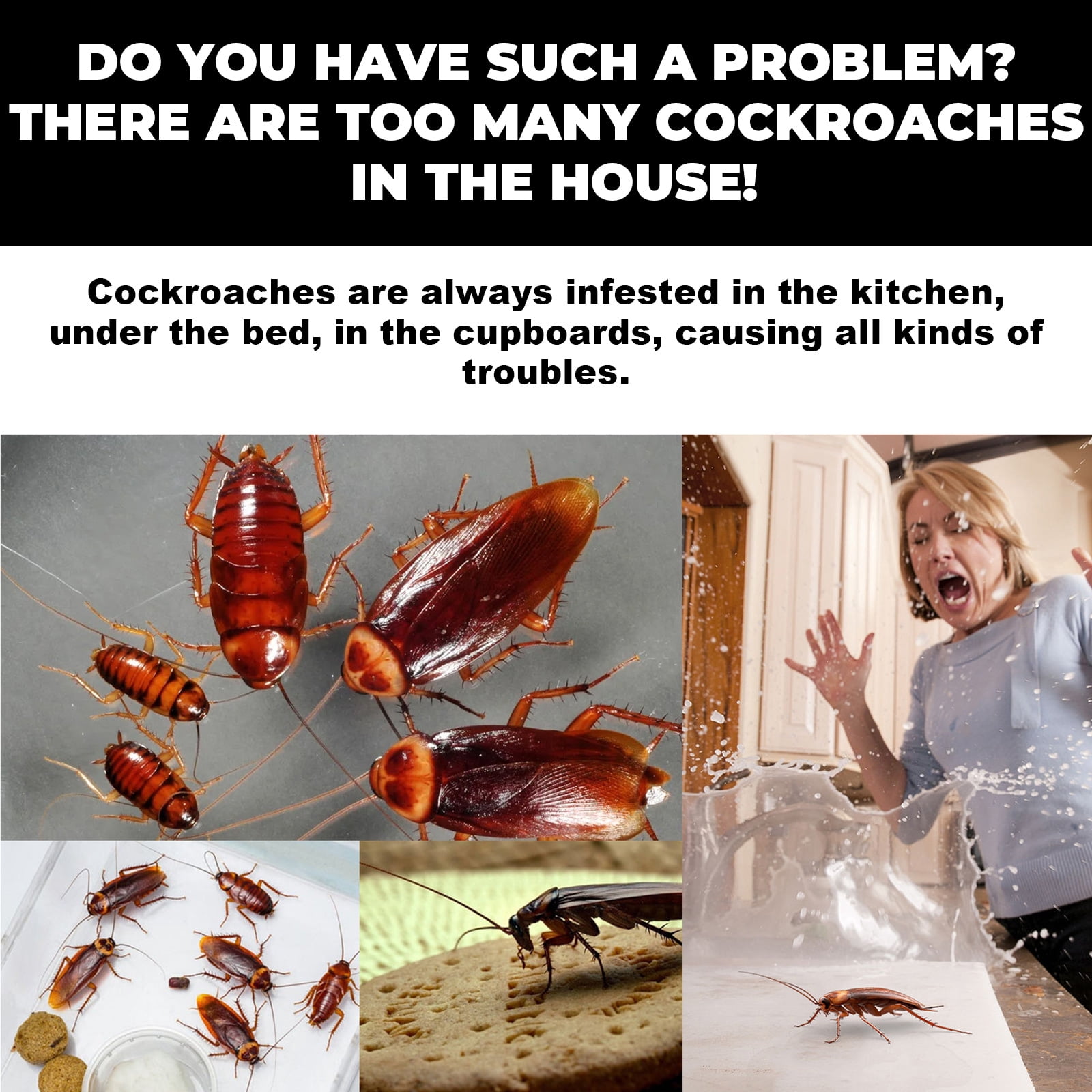 Alvantor Roach Killing Bait Station, 8 Count, Indoor Pest Control