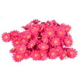 thumbnail image 4 of DEWIN Cabezas de Flores Artificiales, Gerbera Artificial Margarita Tela Flor Cabeza Boda Fiesta DIY Decoración Artesanía (100PCS)(Rosa roja), 4 of 5