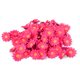 thumbnail image 1 of Cabezas de girasol artificiales Sincero Paquete de 100 Decoración para fiesta de boda rojo rosa, 1 of 5