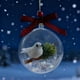 thumbnail image 1 of Adorno de Navidad 3D Transparente Bola de Pájaro | Decoración de árbol colgante hecha a mano | Efecto de globo de nieve con remolino de purpurina, caja de música, exhibición de pájaros realista,, 1 of 4