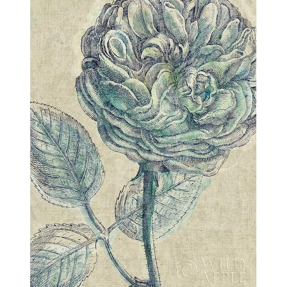 Belle Fleur Iii Crop Linen Poster Print by Sue Schlabach (22 x 28)