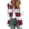 thumbnail image 2 of Drovellove Plus Size Women's Sleeveless Zip Up Coat with Pockets | Casual Open Front Vest Jacket for Fall Winter | Solid V Neck Outerwear with Patchwork Detail | Lightweight Layering Piece for Dating, 2 of 5