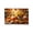 1-Multicolor, variant on Fall Pumpkin Maple Leaves Floor Mat Halloween Thanksgiving Decorative Floor Mat Bathroom Kitchen Mat Porch Carpet Entrance Mat 15.75x23.62in