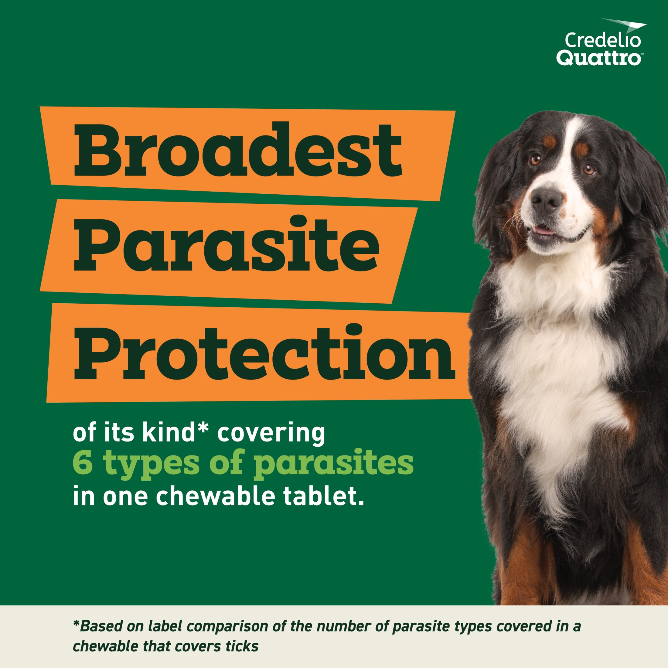 Credelio Quattro Chewable Tablets for Dogs 50.1-100 lbs, 6-in-1 Parasite Protection (6 Month Supply)