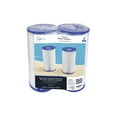 Mainstays Type IV, B Replacement Pool Filter Cartridge, 5.6 in x 10 in