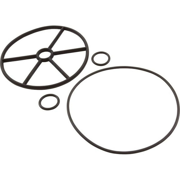 Gasket, Astral Selector Valve, 1-1/2", 5 Spokes