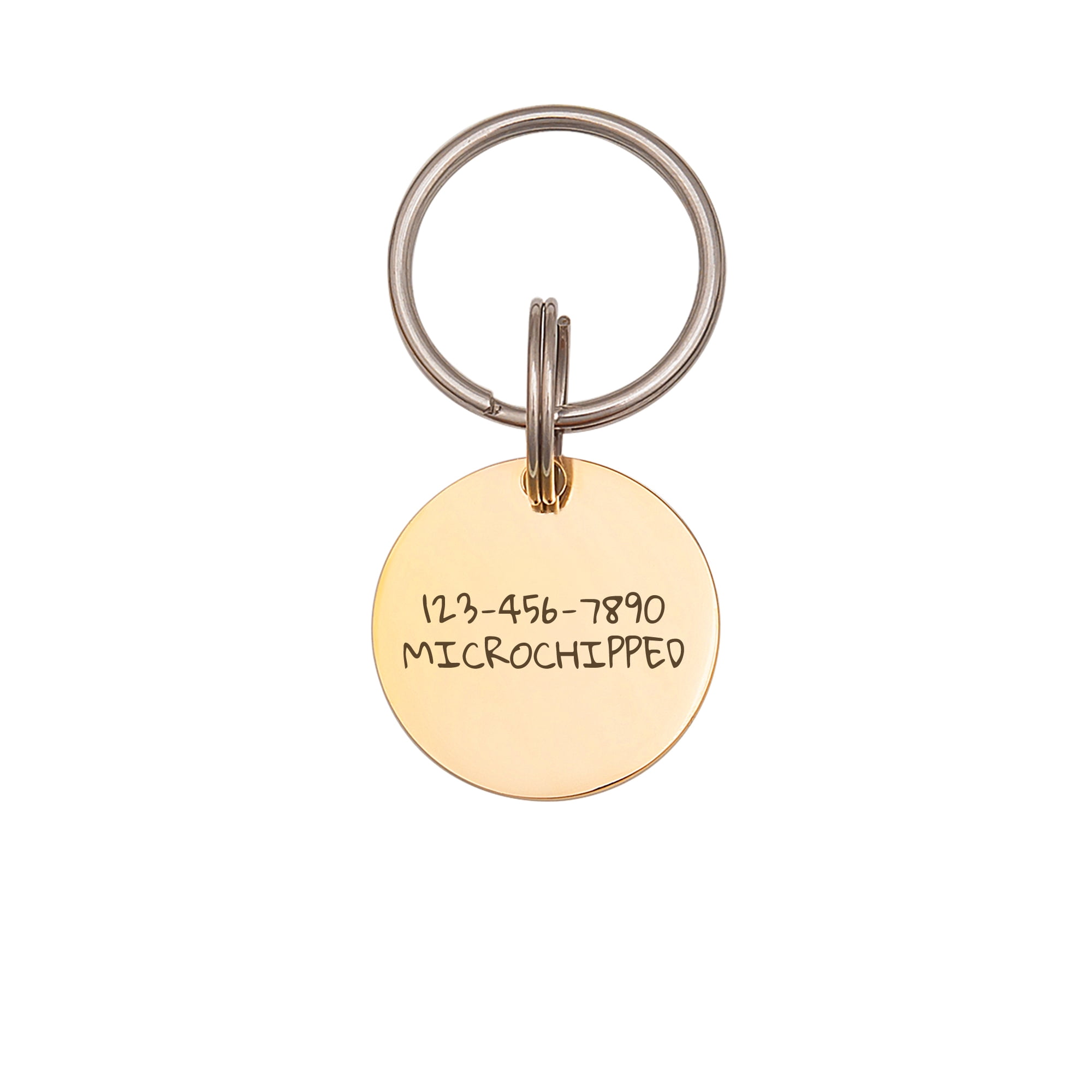 Anavia Stainless Steel Metal Round Name - Icon Birthday Holiday Christmas Engraved Dog ID Tag, Gold