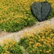 thumbnail image 3 of sweethay Duelo Piedra conmemorativa Familias Mascotas Memoria Piedras decorativas Simpatía Regalos Accesorio para interior Jardín al aire libre Jardín y Patio Balancearse Tamaño 20x20cm sweethay HA063112-06, 3 of 6