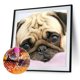 thumbnail image 1 of Kit de mosaico de diamantes 5D DIY mosaico completo de forma Wdftyju cuadrada Serie de perros diamantes de imitación taladro dibujo imagen decoración del hogar arte art, 1 of 8