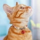thumbnail image 4 of Collar antipulgas y garrapatas Yuyangstore para perros y gatos ajustable, 4 of 5