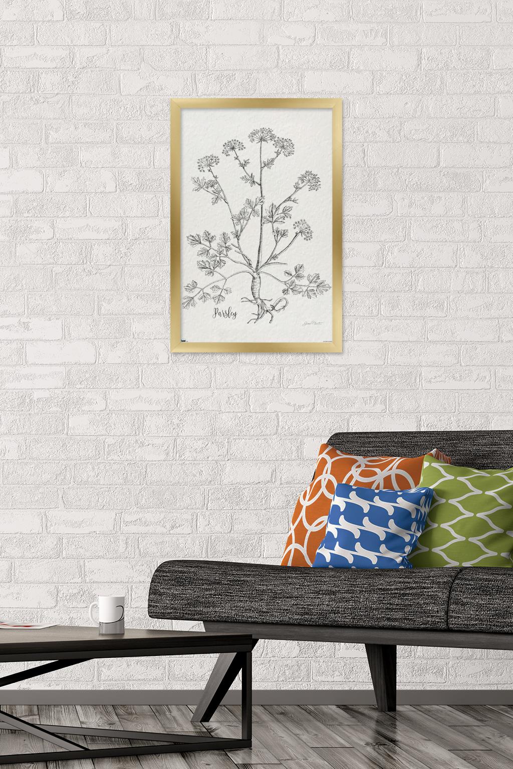 Jean Plout - Botanical Studies on Paper Parsley Wall Poster, 14.725" x 22.375" Framed