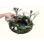 Oasis Floral Foam Design Rings - 10.5 2pk