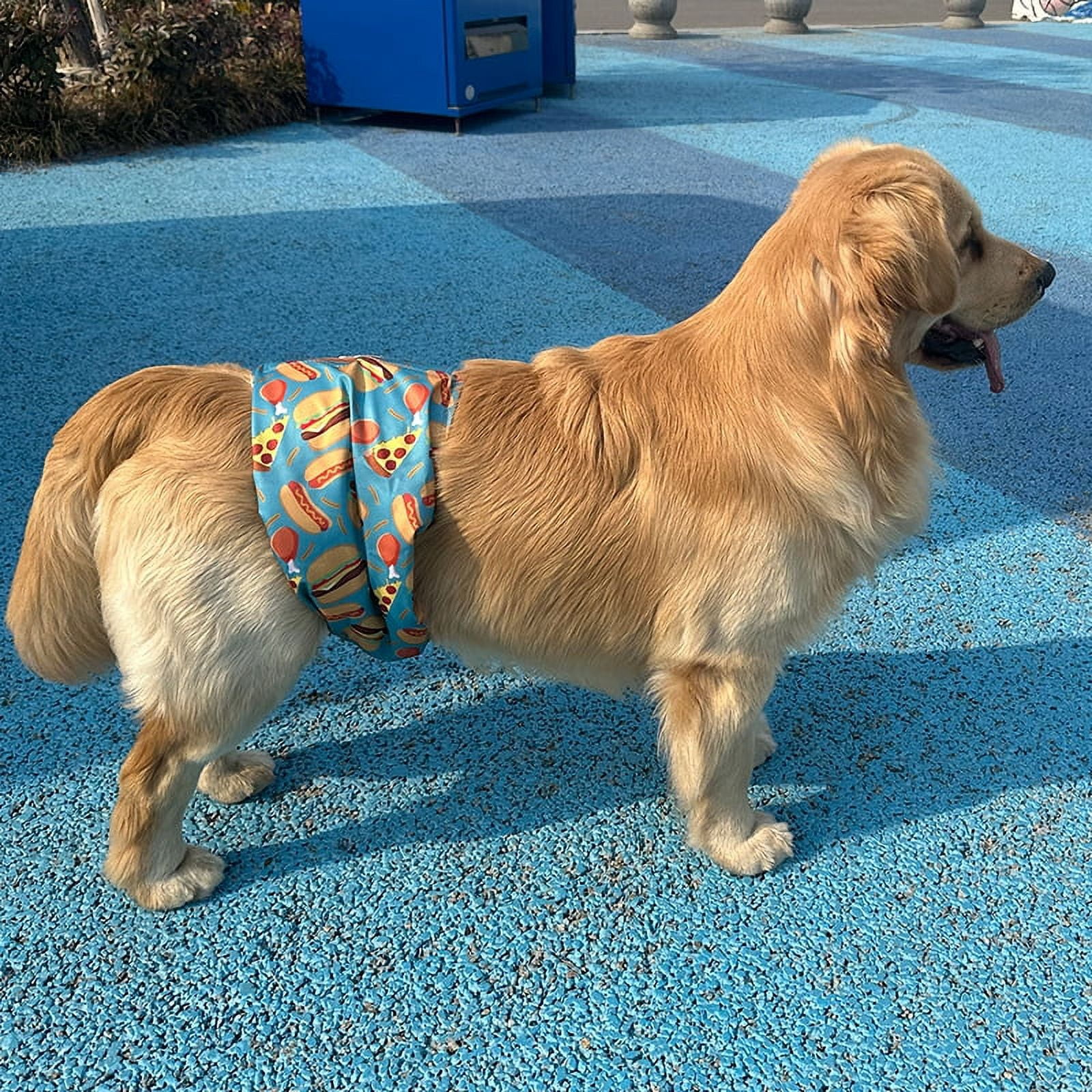 BLIWINPT Reusable Dog Diapers Male Premium Belly Band for Male Dogs Washable Belly Bands for Male Dogs New Cute Patterns 5 Pack (XXL, 21” - 27” Waist)