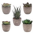 thumbnail image 1 of Conjunto de 5 macetas decorativas con suculentas artificiales, ideal para dar un toque natural a tu hogar. Perfectas para estanterías, mesas y regalos. ¡Sin necesidad de riego!, 1 of 6