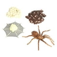 thumbnail image 2 of Yinanstore Simulation d'Animaux, Cycle de Vie d'Arthropode, Figurines d'Action Miniatures, Jouets Éducatifs Scientifiques, 2 of 8